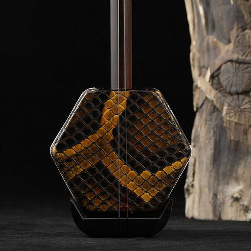 竹林豐精品黑檀二胡來啦,傳統(tǒng)工藝,手工打造